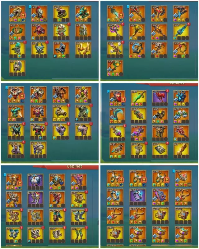 Foto 5