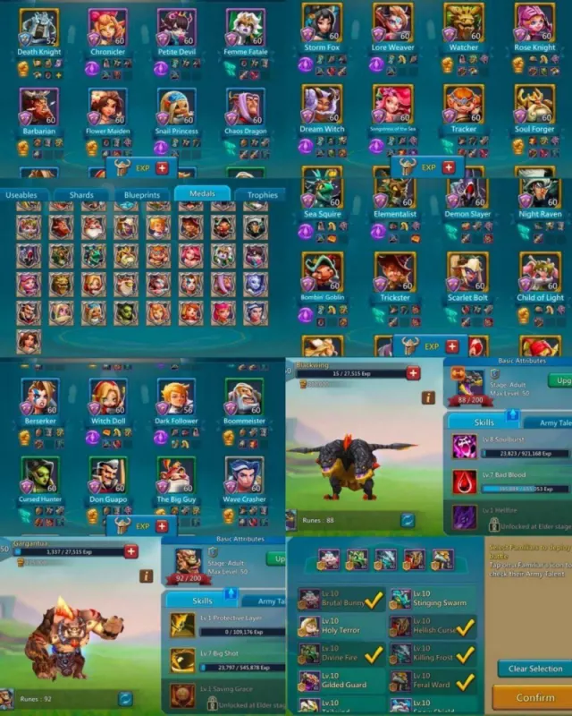 Foto 5