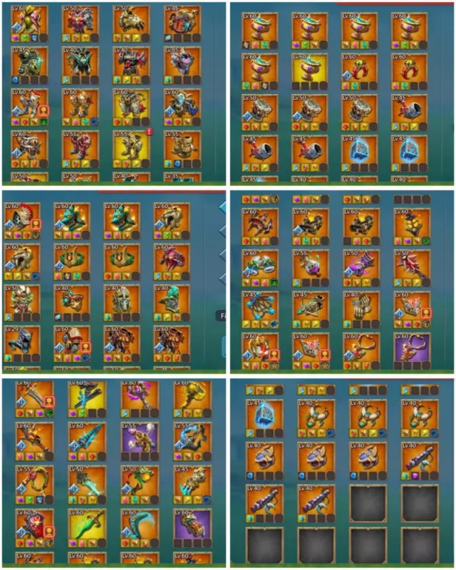 Foto 5