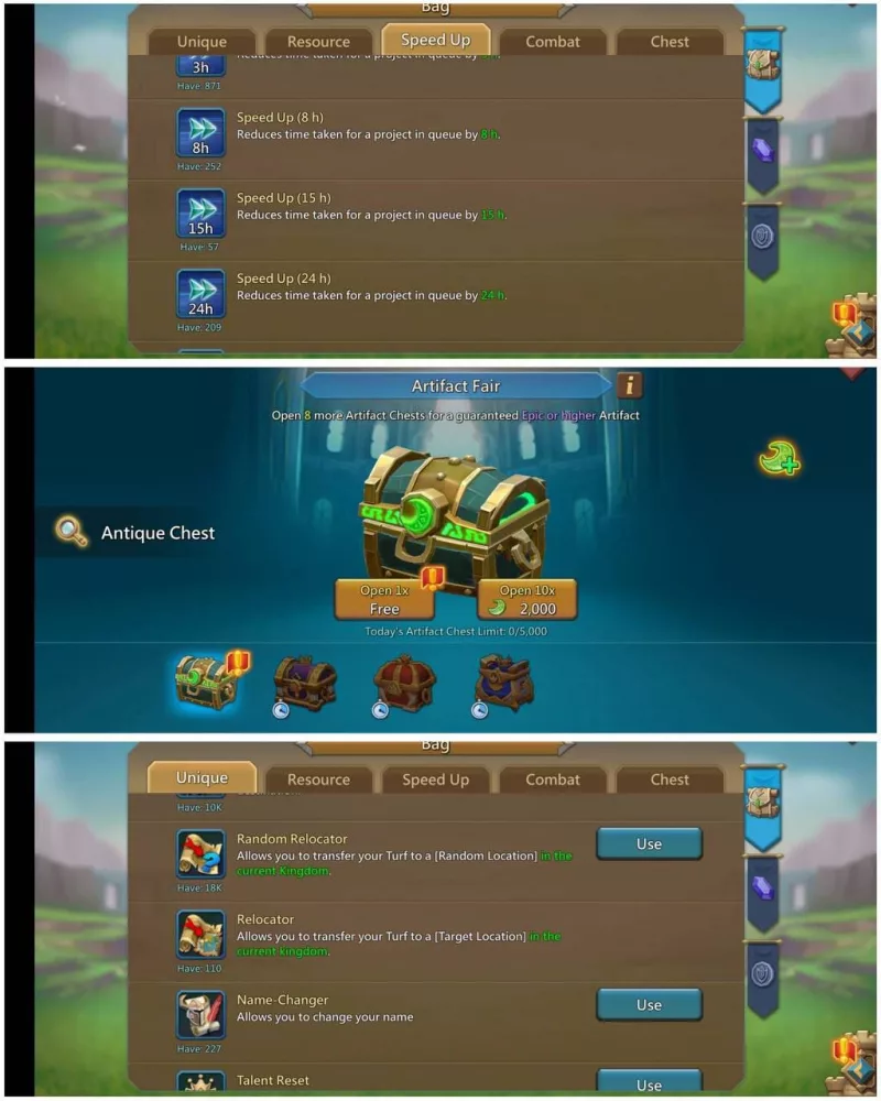 2 Lv.12 Champs - 4 Cups / skin hero